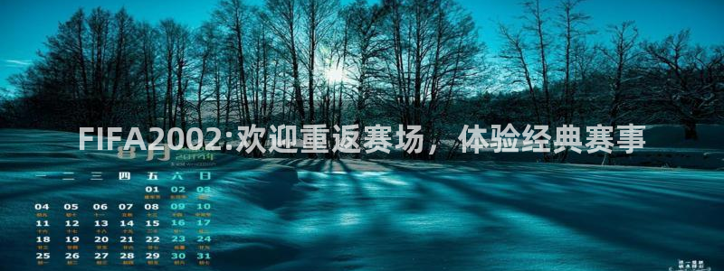 赏金国际代理：FIFA2002:欢迎重返赛场，体验经典赛事