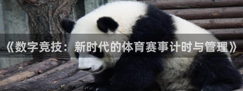 赏金国际c7：《数字竞技：新时代的体育赛事计时与管理》