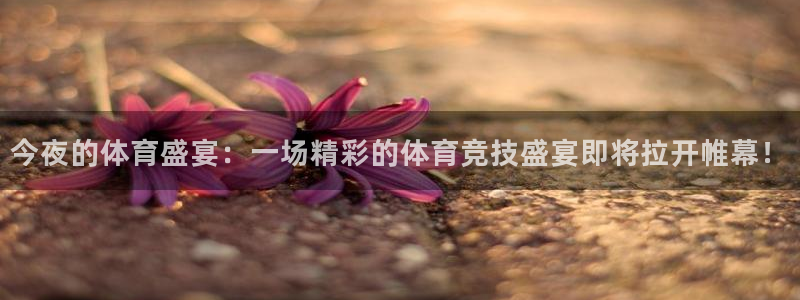 国际赏金pg下载安装：今夜的体育盛宴：一场精彩的体育竞技盛宴即将拉开帷幕！