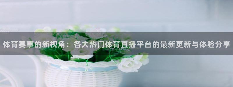 赏金app哪个软件最火：体育赛事的新视角：各大热门体育直播平台的最新更新与体验分享