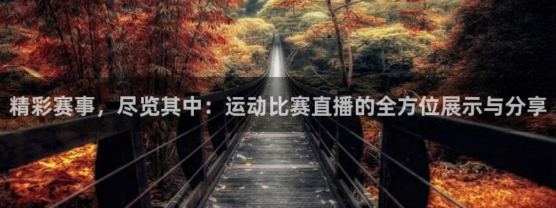 赏金国际pg下载链接：精彩赛事，尽览其中：运动比赛直播的全方位展示与分享