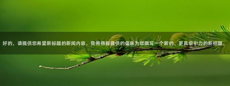 赏金帮app：好的，请提供您希望新标题的新闻内容，我将根据提供的信息为您撰写一个新的、更具吸引力的新标题。