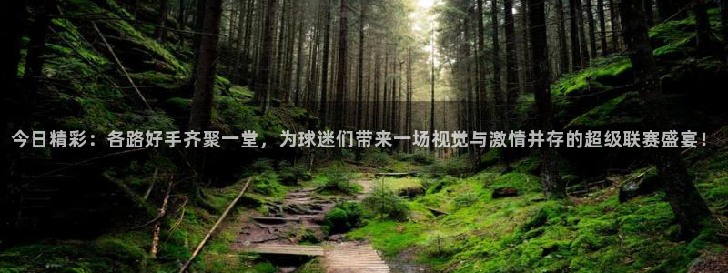 赏金赛app：今日精彩：各路好手齐聚一堂，为球迷们带来一场视觉与激情并存的超级联赛盛宴！