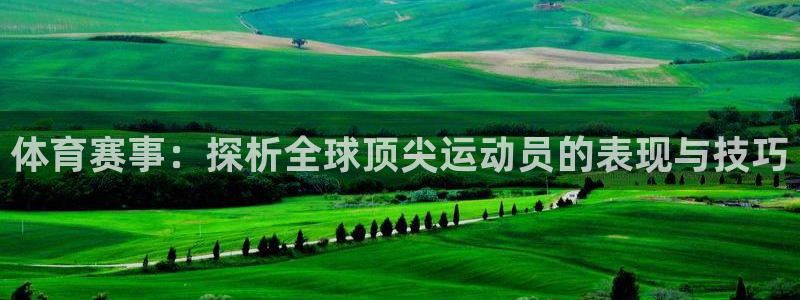 赏金国际在线入口：体育赛事：探析全球顶尖运动员的表现与技巧