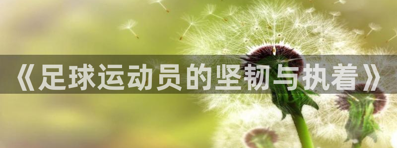 赏金国际网页入口官网下载：《足球运动员的坚韧与执着》