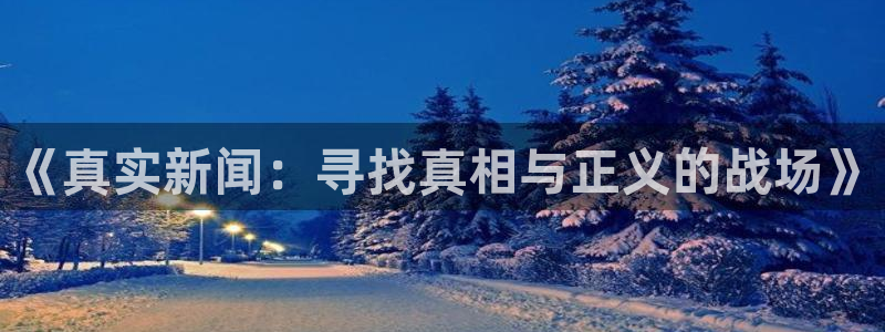 赏金国际在线下载：《真实新闻：寻找真相与正义的战场》