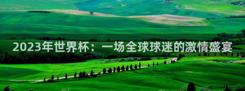 赏金国际pg正版官网入口下载：2023年世界杯：一场全球球迷的激情盛宴