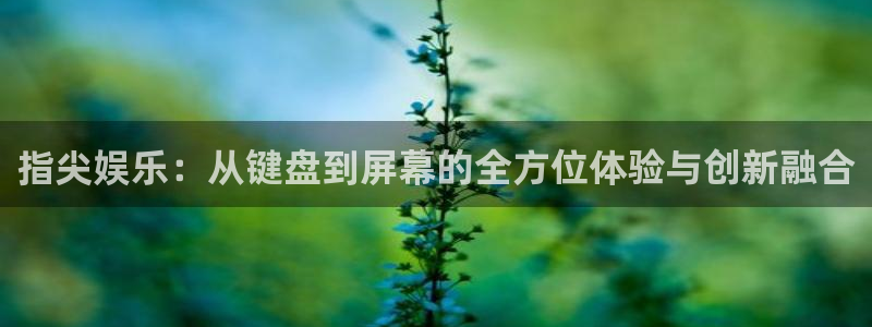 赏金国际登录：指尖娱乐：从键盘到屏幕的全方位体验与创新融合