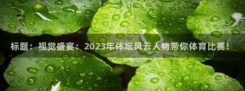 赏金国际官网：标题：视觉盛宴：2023年体坛风云人物带你体育比赛！