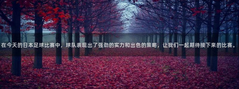赏金国际官网入口：在今天的日本足球比赛中，球队表现出了强劲的实力和出色的策略，让我们一起期待接下来的比赛。