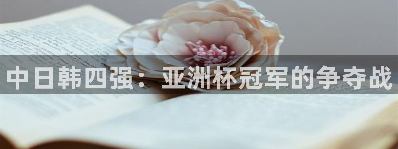 赏金国际app下载入口：中日韩四强：亚洲杯冠军的争夺战