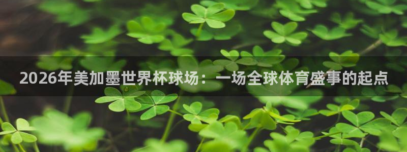 赏金国际app入口官网：2026年美加墨世界杯球场：一场全球体育盛事的起点