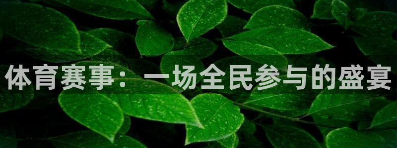 赏金国际app：体育赛事：一场全民参与的盛宴