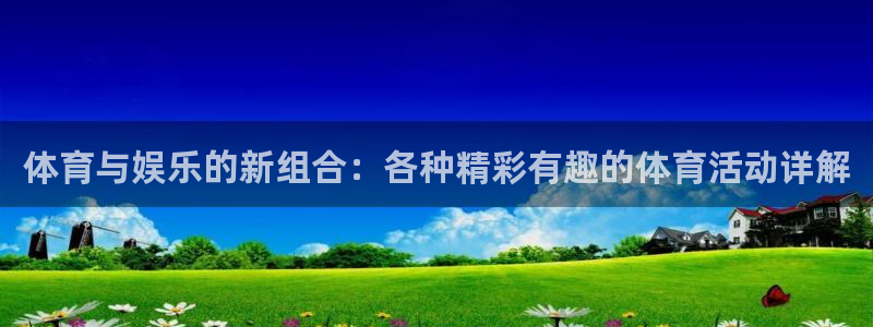 赏金国际下载app：体育与娱乐的新组合：各种精彩有趣的体育活动详解