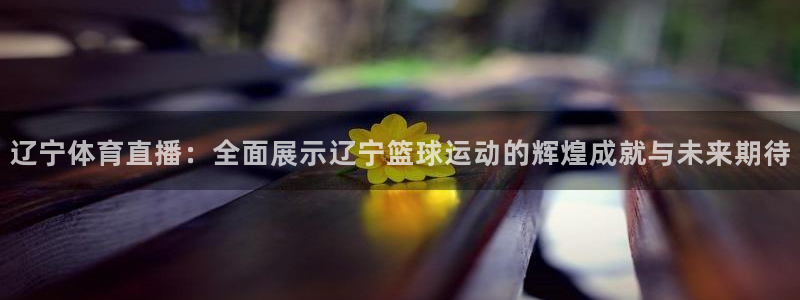 赏金国际平台：辽宁体育直播：全面展示辽宁篮球运动的辉煌成就与未来期待