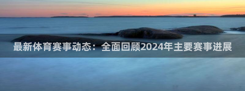 bt手游平台官网：最新体育赛事动态：全面回顾2024年主要赛事进展