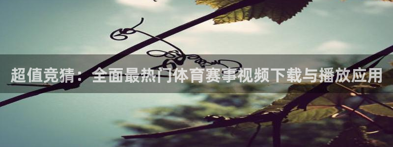 赏金国际pg：超值竞猜：全面最热门体育赛事视频下载与播放应用