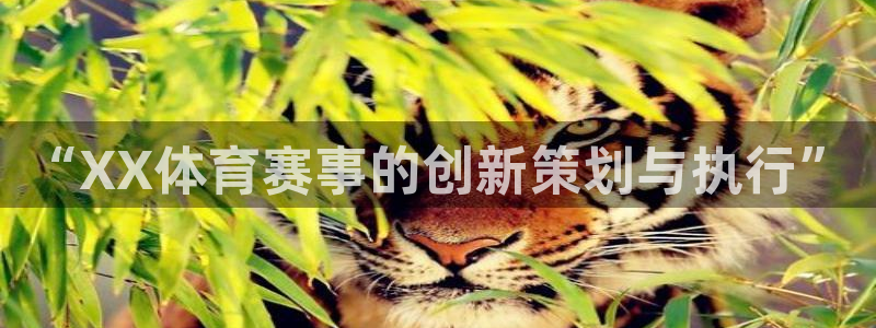 国际赏金pg下载安装：“XX体育赛事的创新策划与执行”