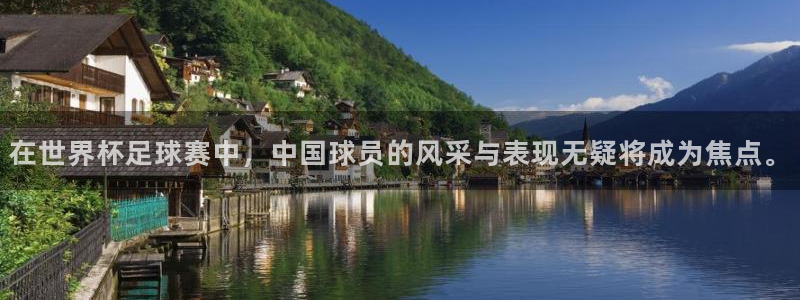 赏金国际pg下载链接：在世界杯足球赛中，中国球员的风采与表现无疑将成为焦点。