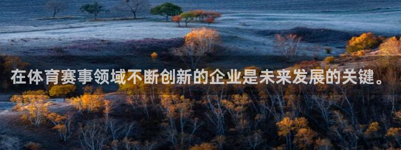 赏金国际官网：在体育赛事领域不断创新的企业是未来发展的关键。
