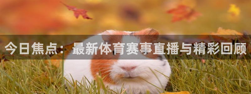 赏金国际app官网下载：今日焦点：最新体育赛事直播与精彩回顾