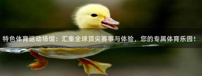 赏金国际链接网址：特色体育运动场馆：汇集全球顶尖赛事与体验，您的专属体育乐园！