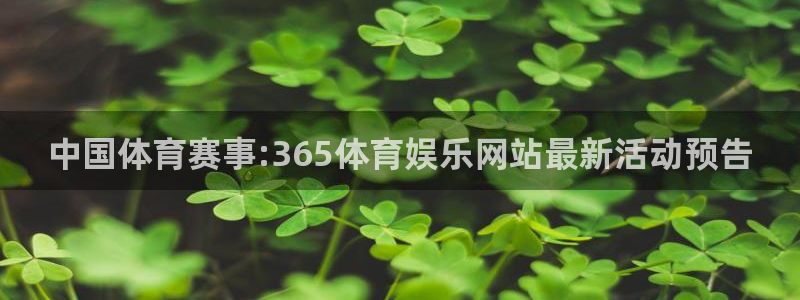 赏金国际入口：中国体育赛事:365体育娱乐网站最新活动预告