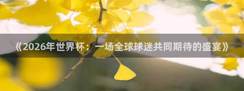 赏金娱乐：《2026年世界杯：一场全球球迷共同期待的盛宴》