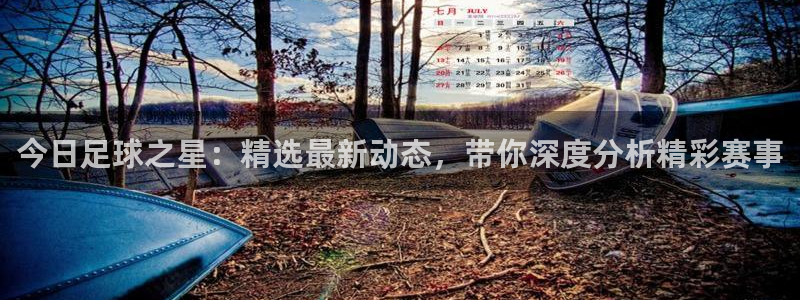 赏金国际pg：今日足球之星：精选最新动态，带你深度分析精彩赛事