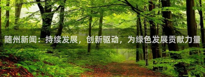 pg赏金国际：随州新闻：持续发展，创新驱动，为绿色发展贡献力量